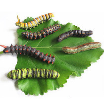 Simulation of caterpillars green insects silkworm tricky scary props insect toys childrens early education cognitive animal model