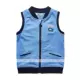 Rất nhỏ cậu bé cá mùa xuân và mùa thu mô hình 27102 cotton tinh khiết thời trang vest vest 100-120 đầy đủ một trăm miễn phí vận chuyển - Áo ghi lê