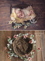 Vintage long branch flower low saturation simulation flower photo decoration plant eggplant newborn photography props