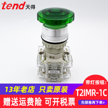 Button switch self-reset TEND day 22mm with lamp 24V mushroom head T2IMR7G-1C red green 220V