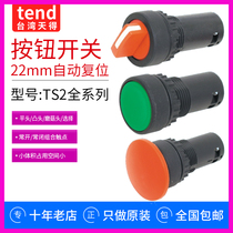 Trend button switch TS2BF-A TS2BM-C TS2SS choose TS2IMIL with lamp mushroom flat head