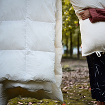 Quilt winter quilt thickened to keep warm DuPont Sorona plant fiber ecological cotton spring and autumn quilt four seasons universal quilt core