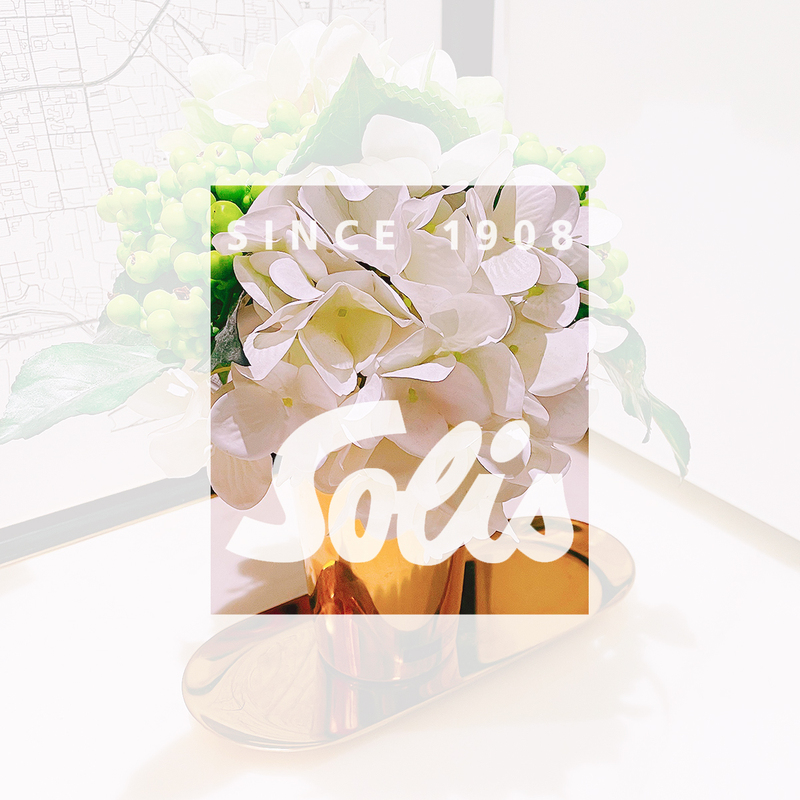 Solis Handheld Hair Dryer User Manual Solis Handheld Hair Dryer User Manual