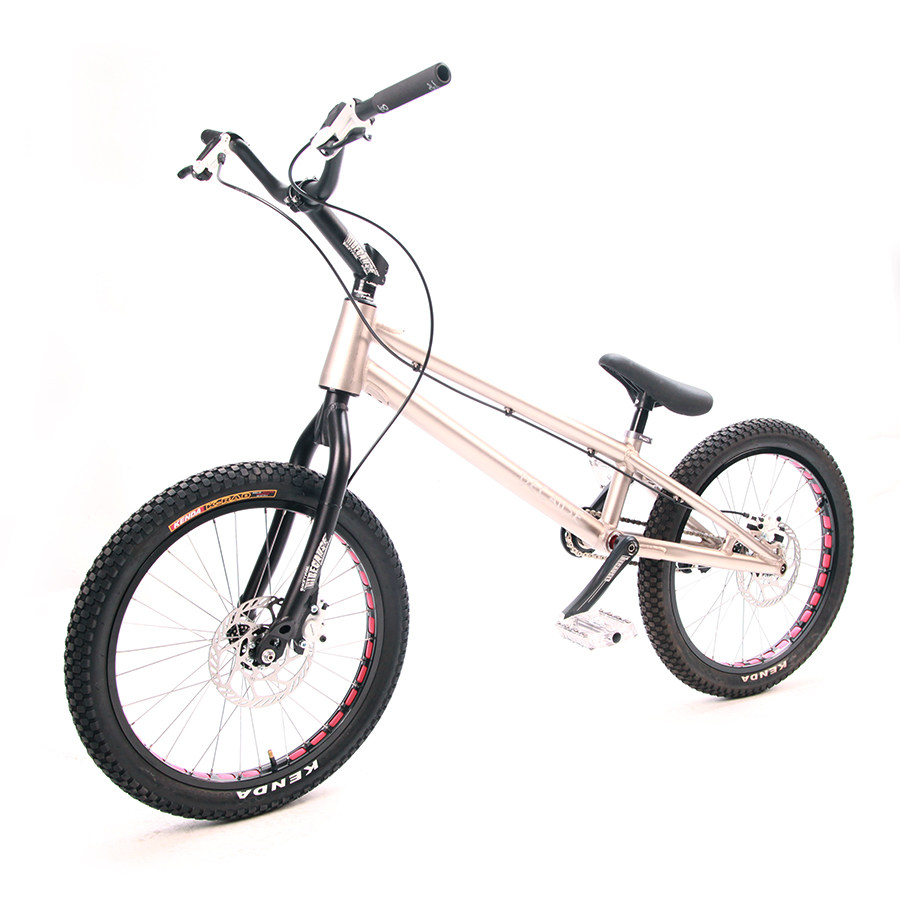 BECAUSE-20 Inch Climbing Bike Street Climbing Fancy Show Stunt BMX Extreme Sports