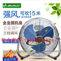 Golden antelope powerfully grossensly slapped on commercial fan grossensly fan-floor fan-floor fan photo-fan