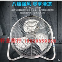 Golden Ling Jinling Fan Copper Core Silent Powerful Electric Fan Commercial High Wind Power Industrial Fan Floor Fan