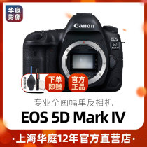 Canon EOS 5D Mark IV SLR camera 5D4 professional full frame 24 70 sets of high-definition digital spot