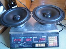  A pair of 8-inch subwoofers from Haolisheng