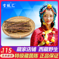 Buy 5 Get 1 Tibet wild natural Chinese herbal medicine Tibetan tea Yue Qiong super bitter grass tea liver gallbladder 250g