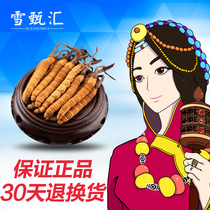 Tibet Naqu Cordyceps sinensis fresh non-Yushu authentic special grade Cordyceps bulk gift box Shunfeng 4 grams