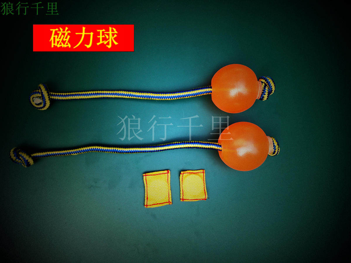 Magnetic ball Dog training ball Ball game dog training tool