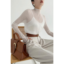 RoseLingLing pleats concept transparent pressure pleated texture material semi-high neck long sleeve female autumn
