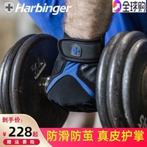 Harbinger Harbinger fitness gloves Mens non-slip cocoon horizontal bar sports equipment breathable 1260