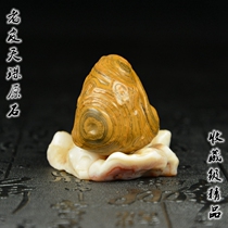 Tibet Natural True Tianyan Lao Pilizi Tantric Buddhist Energy Nine-eyed Stone Shale