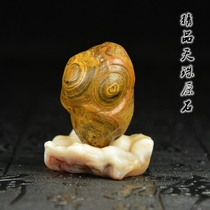 Natural genuine Tianyan Tianyan Tianzhu Tibetan Lizi Tantric Necklace Buddhism Nine-eyed Stone Shale