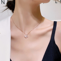 Sterling silver butterfly necklace 2021 new feminine quality light luxury niche gold rose gold wild Net red choker
