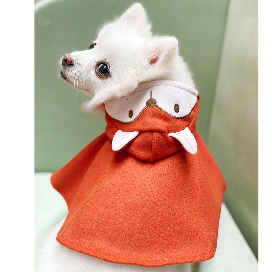 Pet spring cloak small dog cat dog Pomeranian corgi warm transformed into two-legged coat teddy clothes