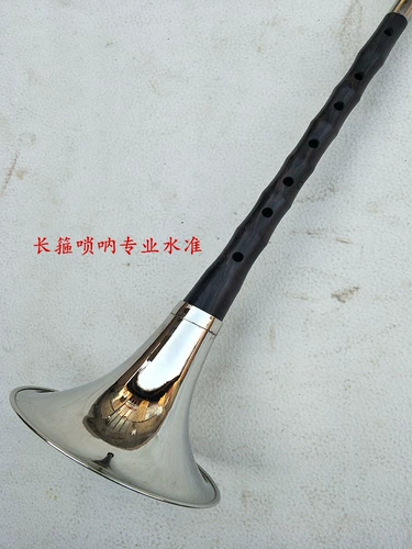 Музыкальные инструменты для детей и взрослых для начинающих, профессиональный медный мегафон, полный комплект