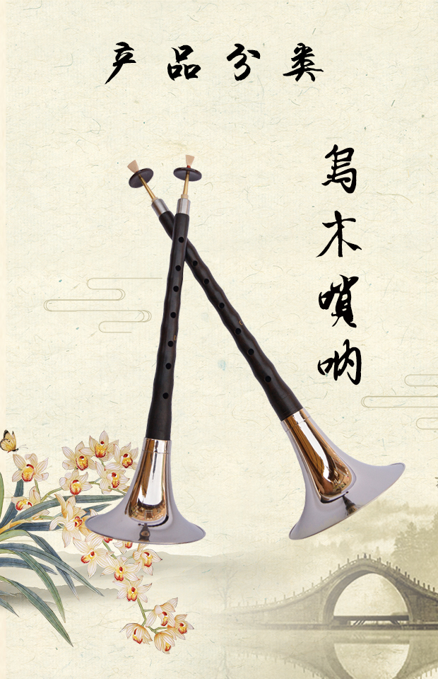 Trường trung học chuyên nghiệp treble mun pipa cụ đầy đủ bộ GCDEF thả B cấp độ kiểm tra người mới bắt đầu nhập cảnh sừng - Nhạc cụ dân tộc đàn cổ tranh