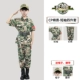 CP Cotton [Короткие рукава] Четырехклассные набор групповых покупок для обслуживания клиентов