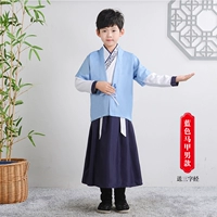 Sky Blue Horse A (Spot Speedback