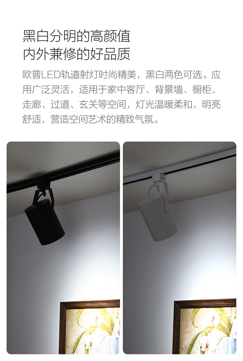 轨道射灯-经济款新_03.jpg
