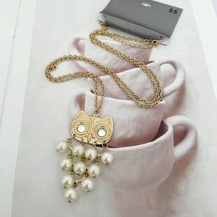 C21 European and American foreign trade original jewelry boutique versatile autumn long version owl hot selling necklace sweater chain 380
