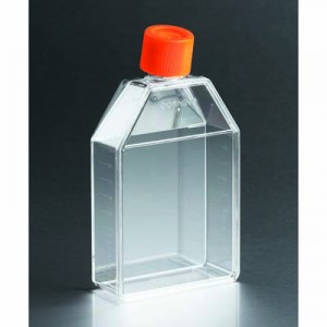 康宁Corning,75cm2细胞培养瓶,TC表面，密闭盖,430720,5个/包
