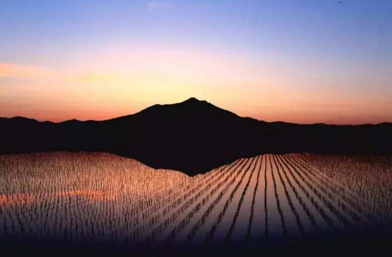 日本茨城县 给我一个理由不爱你