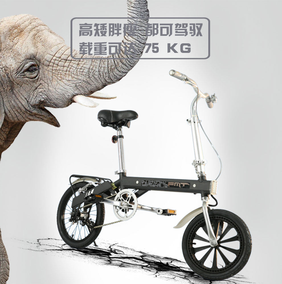 Flying Hair Leg Magnetic Bullet Train-Asian Wind Shangri-drunk Driving Folding Electric Folding Electric Car (TDW0701-NZ)