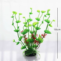 1 зеленая листовая трава