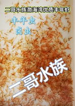 Second Brother Aquarium Bohai Bay Frozen Fengnian Shrimp Artemia Aquatic Fish Fish Food Fish Food