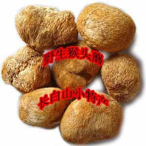 Northeast Hericium erinaceus Wild Hericium erinaceus Changbai Mountain Mushroom Dried New Product 250g