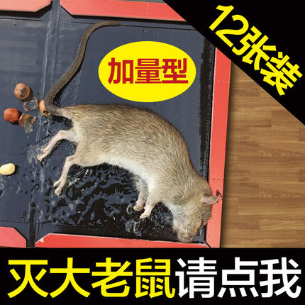 12 pieces of mouse stickers Strong sticky mouse board Anti-rodent artifact Rat trap blanket Catch mouse Yao particles clip medicine sticky mouse household