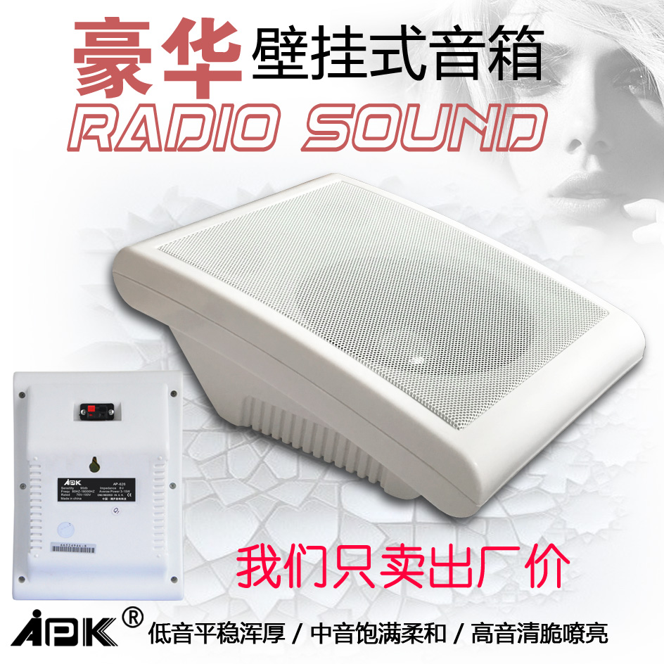 Classic APK Apex Wall Mounted Horn Mounted Wall Speaker Broadcasting Audio Classroom Broadcasting Welcome to visit our factory