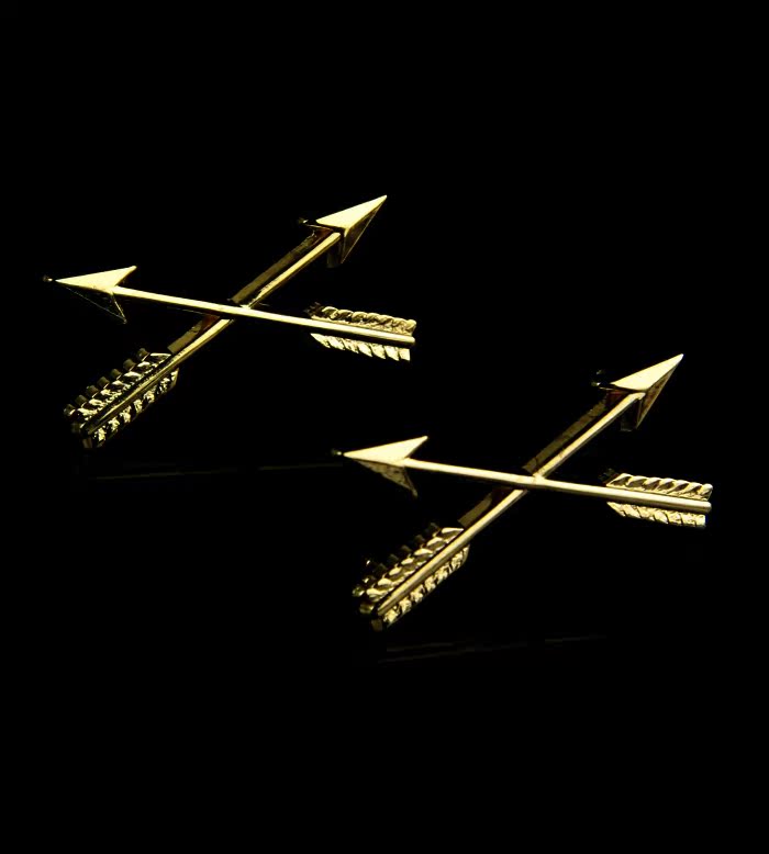 US Army Officers Changuniform Collar Flowers SF Pilot Skills Chapter