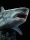 Wanlongtang Megalodon Ghost Jaw Figure Statue Model Undersea Giant Creature Ancient Biological Scene Ornament Great White Shark 1/35