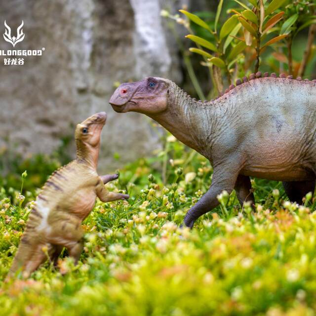 Hao Longgu Mother Dragon Bebekerasaurus Jurassic Dinosaur Animal Figure Toy Model Gift Pvc Ornament 1/35