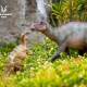 Hao Longgu Mother Dragon Bebekerasaurus Jurassic Dinosaur Animal Figure Toy Model Gift Pvc Ornament 1/35