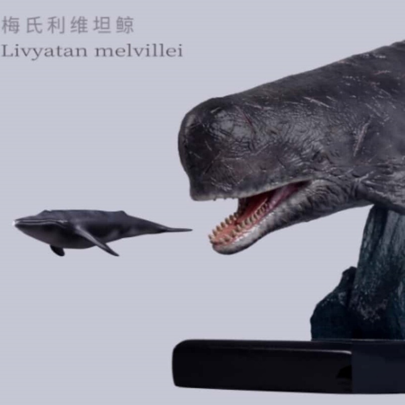 New Brand Creature Legends Stratigraphic Code Series Megalodon Whale Resin Statue Model Limited-Time Special Offer