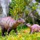 Hao Longgu Mother Dragon Bebekerasaurus Jurassic Dinosaur Animal Figure Toy Model Gift Pvc Ornament 1/35