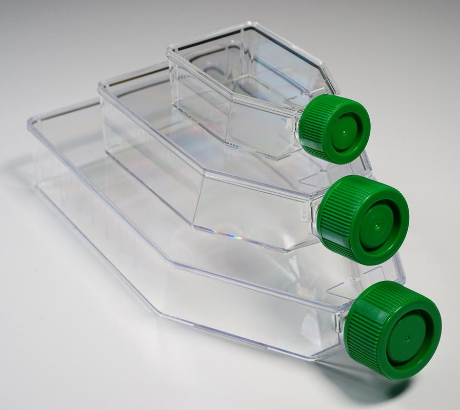 细胞培养瓶,T25,T75,T175透气盖培养瓶,50ml/250ml/600ml培养瓶