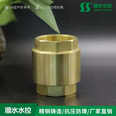Brass thickened vertical check valve water pipe water meter check valve spring check valve vertical 4 minutes 6 minutes 1 inch