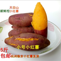 Specialty sweet potato Linan Tianmushan small potato Fresh small sweet potato thumb mini sweet potato flour glutinous sweet potato 5 kg