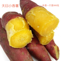 Now dig Linan authentic Tianmu sweet potato sweet potato fresh yellow heart fruit and vegetable sweet potato Sweet potato potato specialty 500 grams