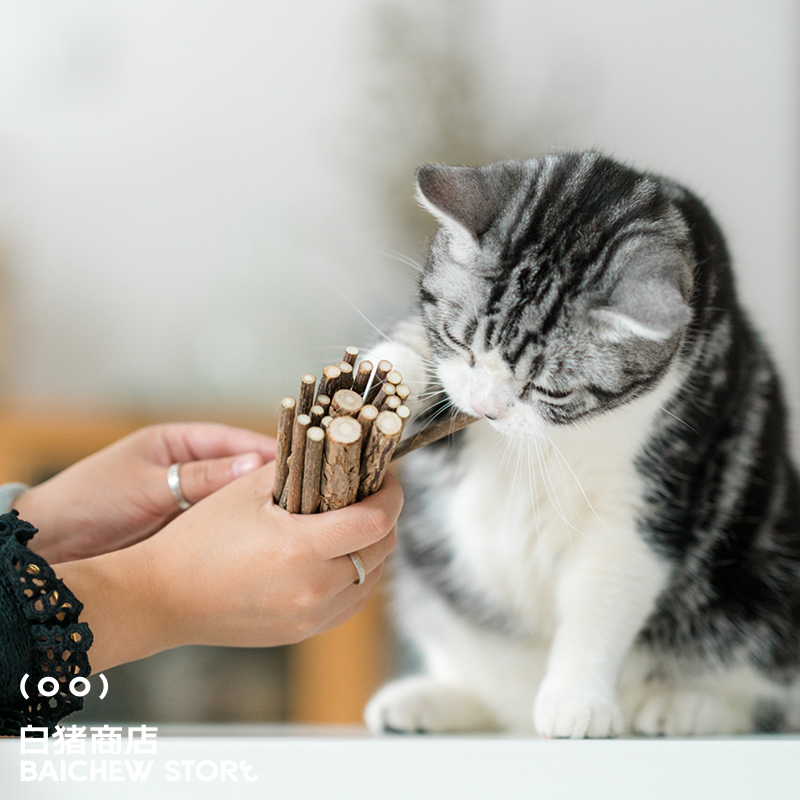 White Swine Store Catwant Catwang Farm Wooden Tin Tooth Cleaning Tooth Cat Snacking Cat Mint Teeth Toys