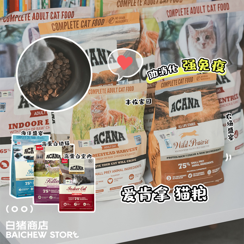 White Pig Store American Version Acana Cat Food Farm Feast Ocean Feast High Protein Adult Cats and Kittens