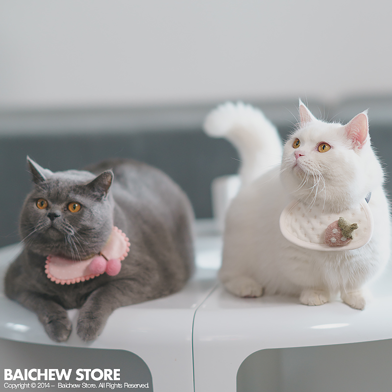 White Pig Shop Pet Cat Collars Handwoven Wool Felt Scarf Ornaments Accessories Supplies