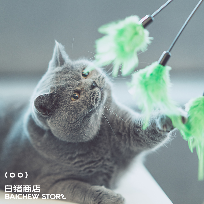 White Pig Store Inconspicuous little green hairs, teasing cat sticks, cat toys, feathers, self-healing supplies