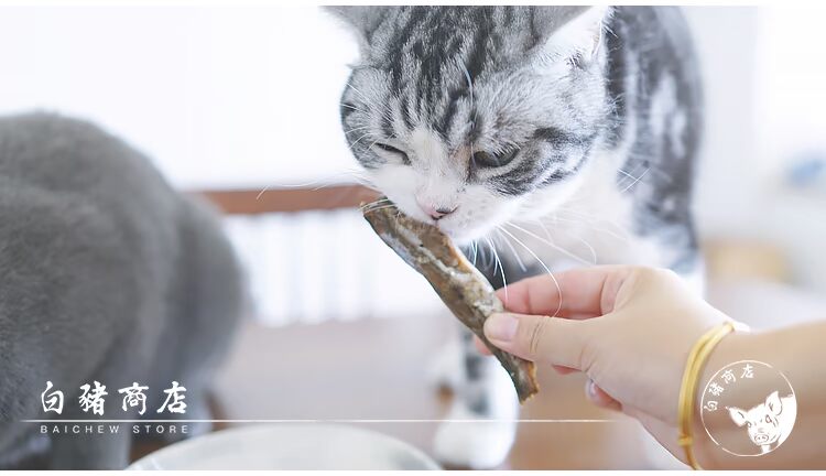 Cửa hàng heo trắng Nhiều hạt tình yêu mèo ngon dải cá Mèo ăn nhẹ Cá nhỏ thịt khô nấu thịt dải 25g - Đồ ăn nhẹ cho mèo hạt mèo catsrang